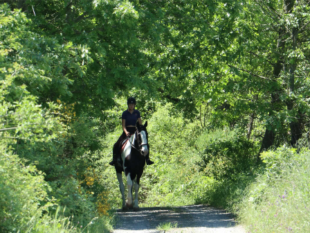 Learn To Ride Italy 